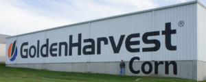 sign painting