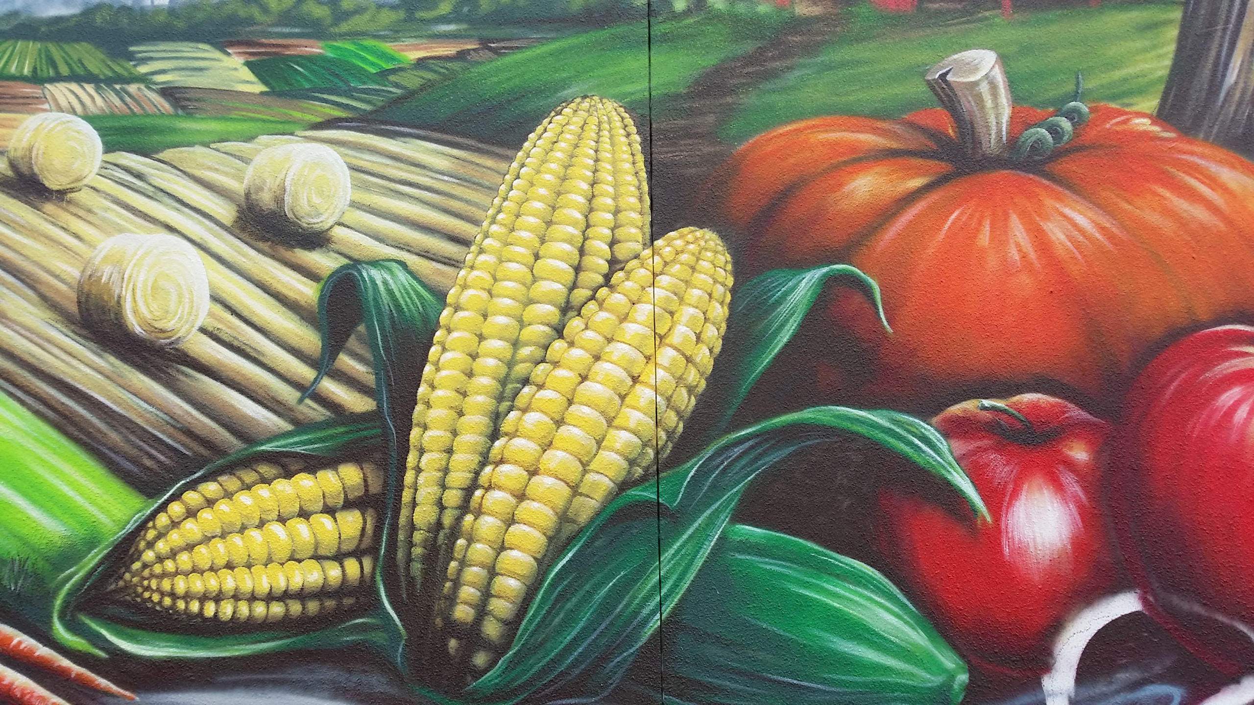 farmers market mural downtown springfield illinois mural painter troy freeman freesky studios