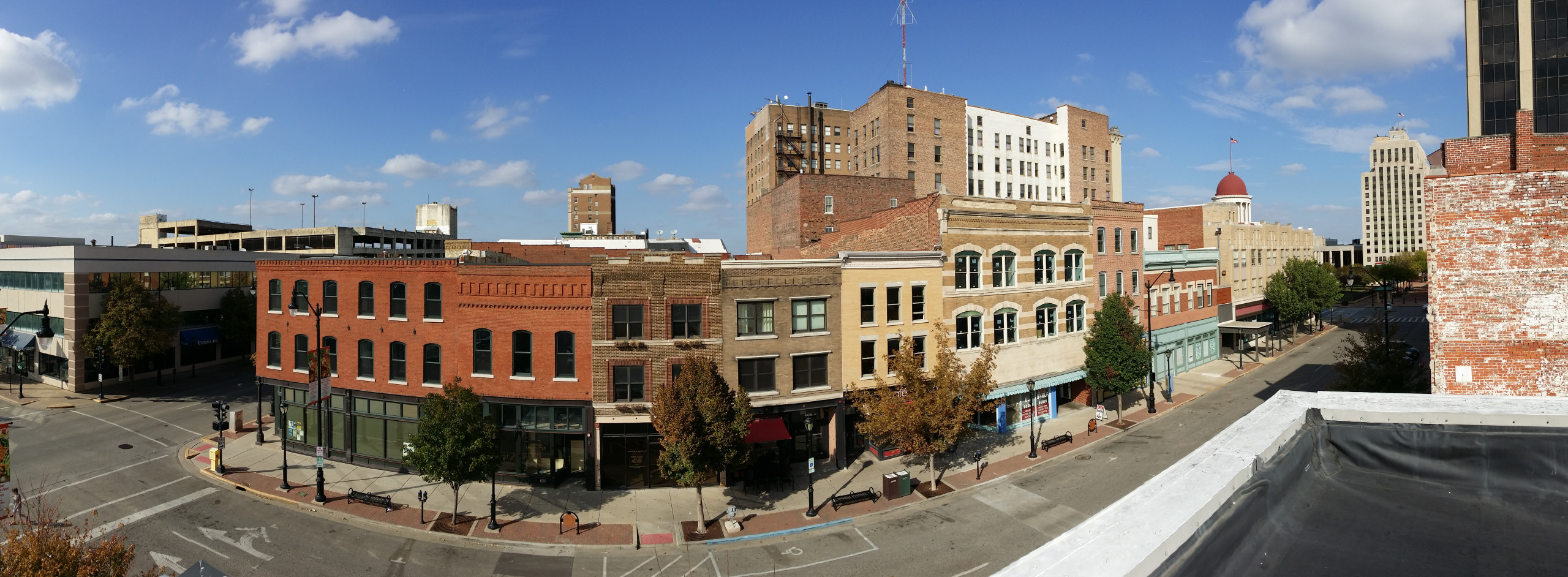 farmers market mural downtown springfield illinois mural painter troy freeman freesky studios